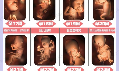 婴儿蛋蛋红怎么回事网—知名的婴儿蛋蛋上血管瘤影响生育吗网站,分享婴儿蛋蛋上血管瘤影响生育吗知识